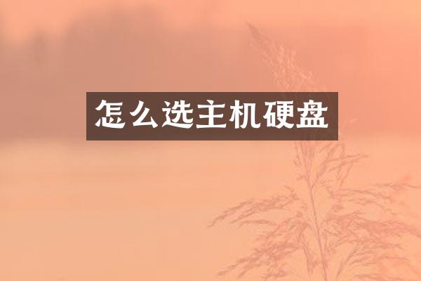 怎么选主机硬盘