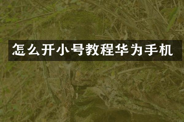 怎么开小号教程华为手机