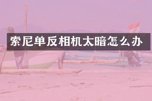 单反相机太暗怎么办