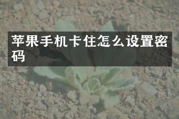 苹果手机卡住怎么设置密码