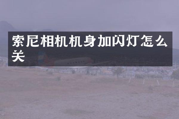 相机机身加闪灯怎么关