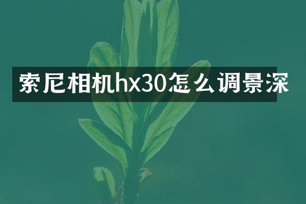 相机hx30怎么调景深