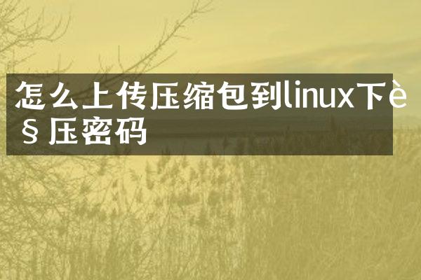 怎么上传压缩包到linux下解压密码