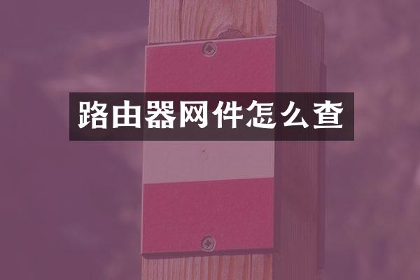 路由器网件怎么查