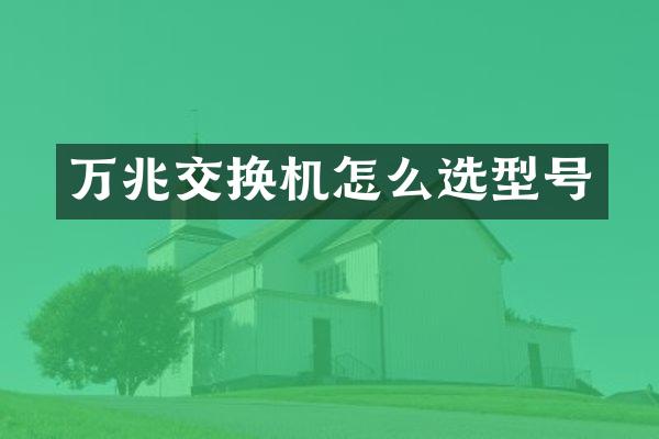 万兆交换机怎么选型号