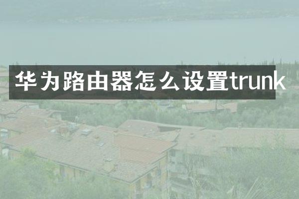 华为路由器怎么设置trunk