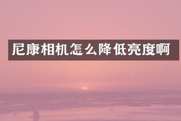 尼康相机怎么降低亮度啊