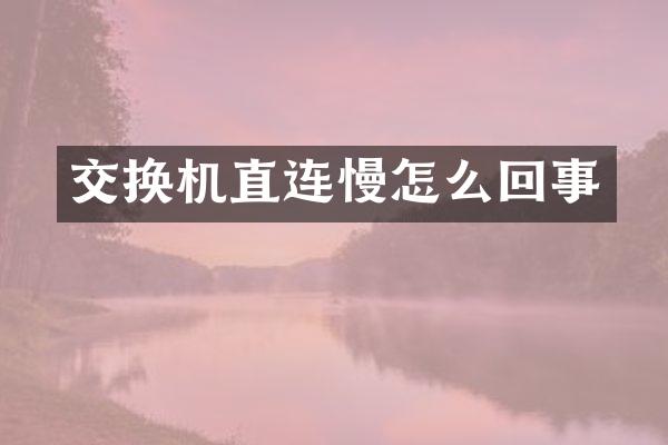 交换机直连慢怎么回事