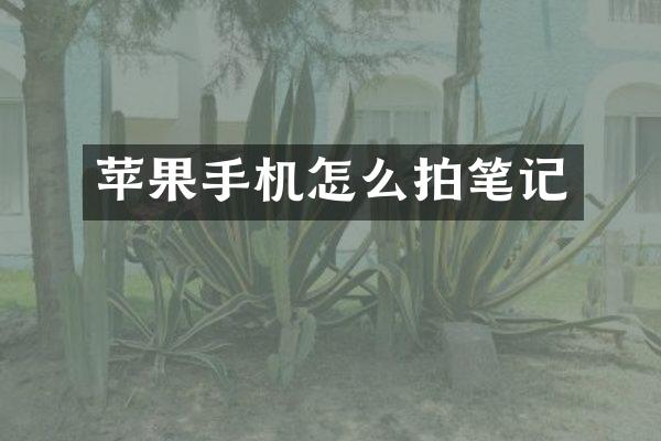 苹果手机怎么拍笔记