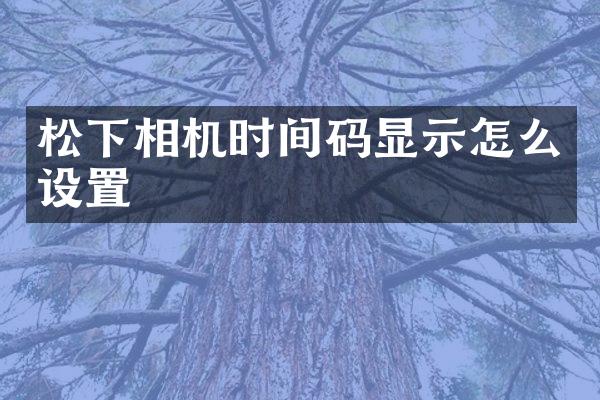 相机时间码显示怎么设置