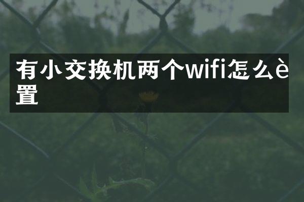 有小交换机两个wifi怎么设置