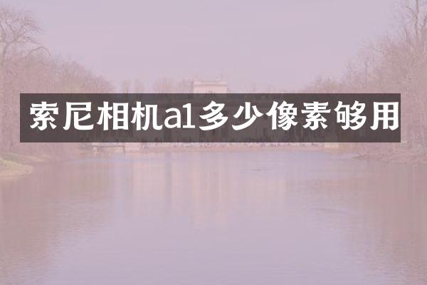 相机a1多少像素够用