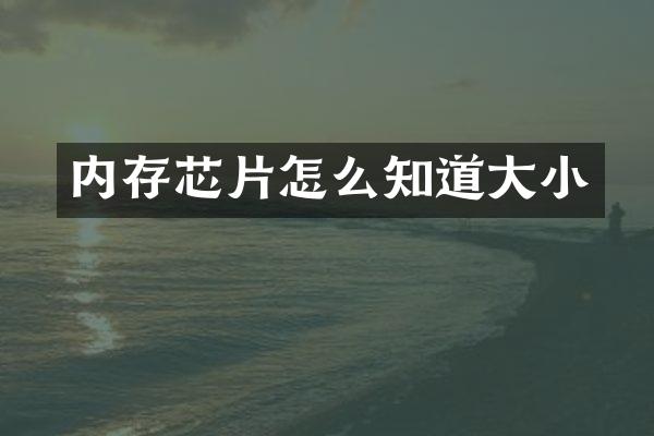 内存芯片怎么知道大小