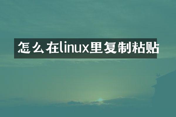 怎么在linux里复制粘贴