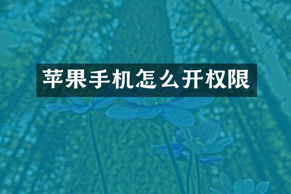 苹果手机怎么开权限