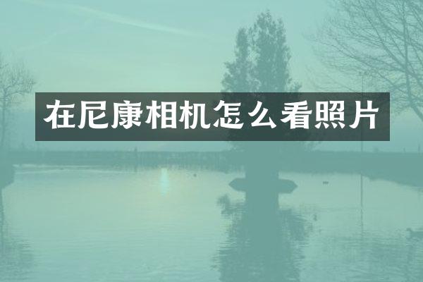 在尼康相机怎么看照片