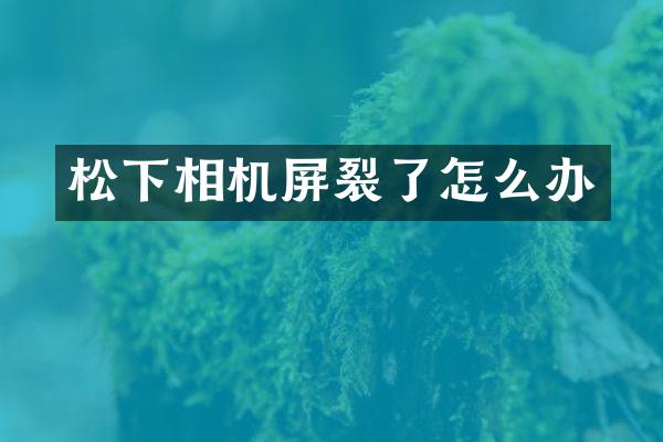 相机屏裂了怎么办