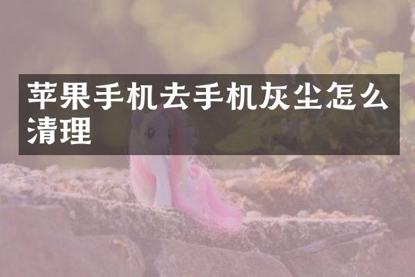 苹果手机去手机灰尘怎么清理