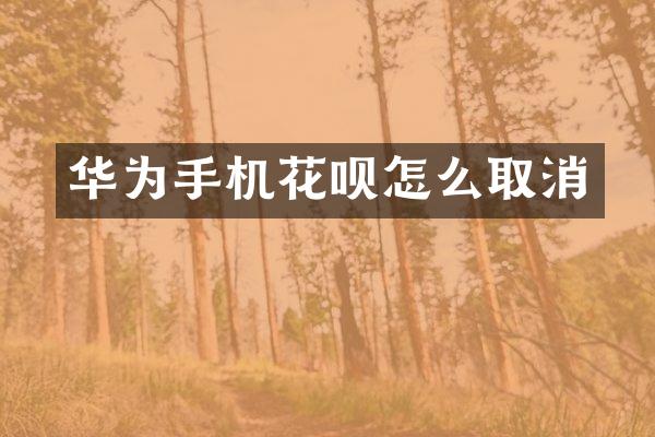 华为手机花呗怎么取消