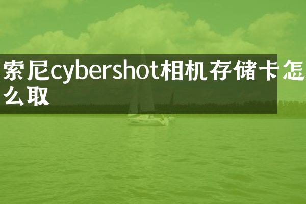 cybershot相机存储卡怎么取