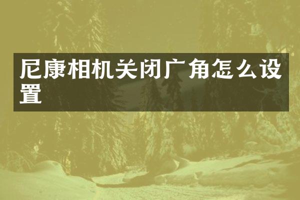 尼康相机关闭广角怎么设置