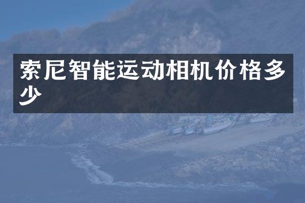 智能运动相机价格多少