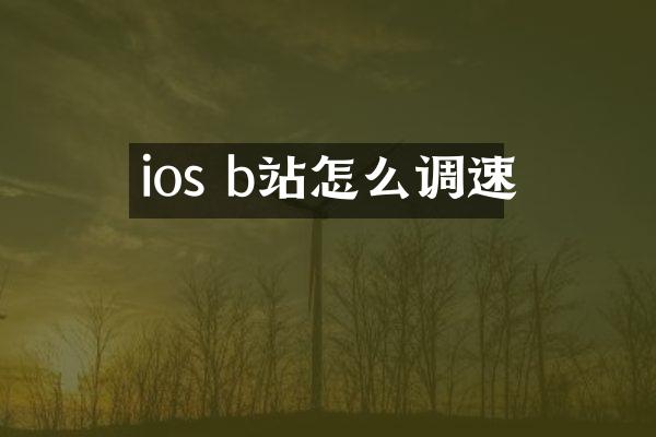 ios b站怎么调速
