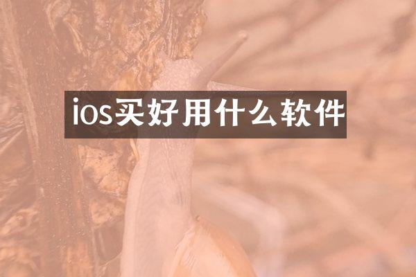 ios买好用什么软件