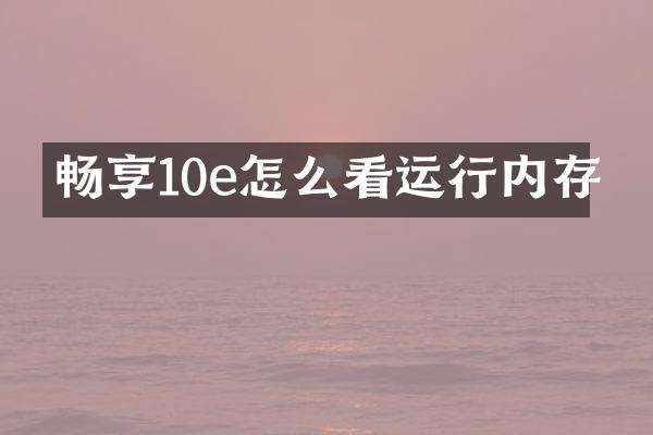 畅享10e怎么看运行内存