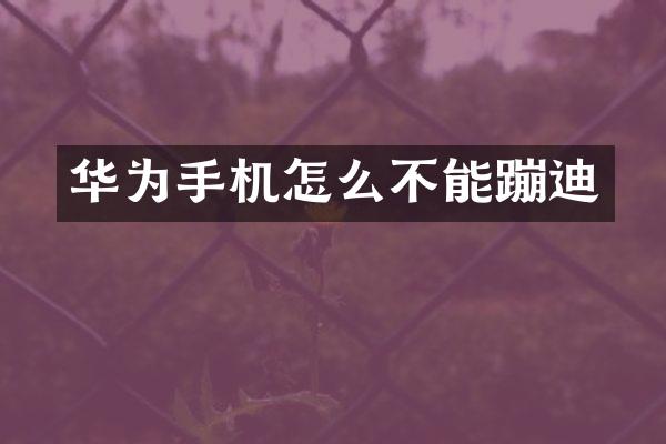 华为手机怎么不能蹦迪