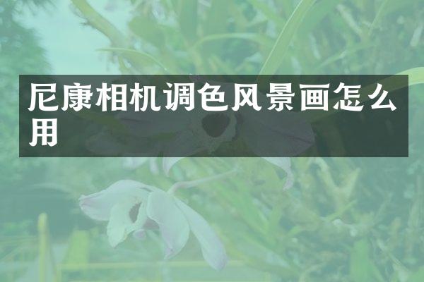 尼康相机调色风景画怎么用