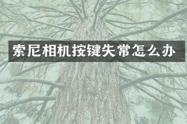 相机按键失常怎么办