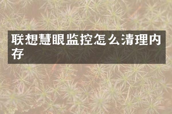 联想慧眼监控怎么清理内存