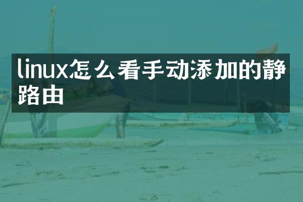 linux怎么看手动添加的静态路由