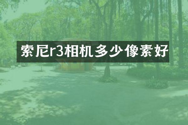 r3相机多少像素好
