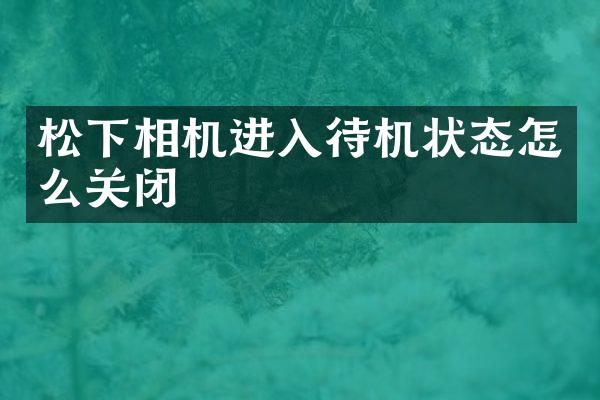 相机进入待机状态怎么关闭