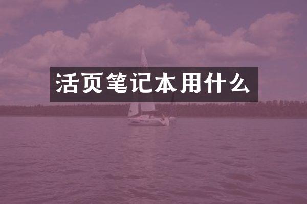 活页笔记本用什么