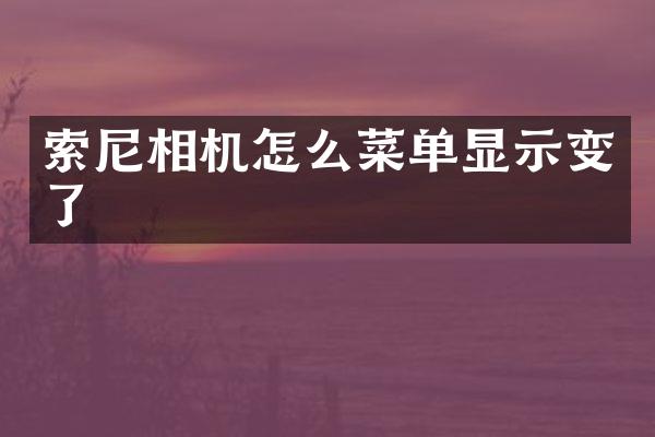 相机怎么菜单显示变了