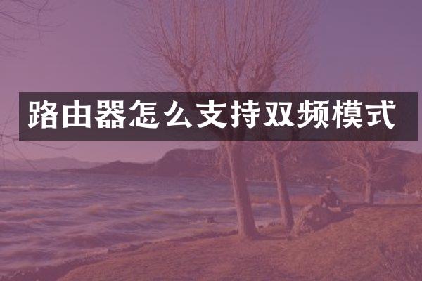 路由器怎么支持双频模式