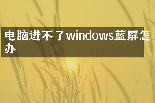 电脑进不了windows蓝屏怎么办