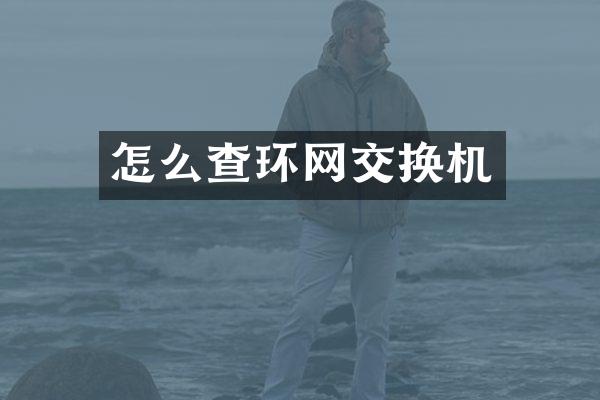 怎么查环网交换机