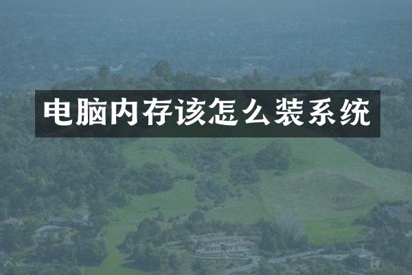 电脑内存该怎么装系统