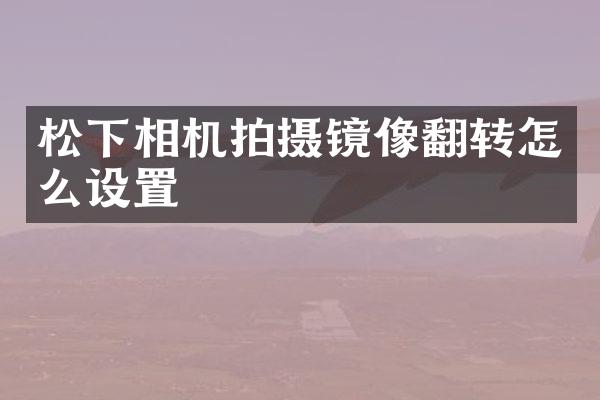 相机拍摄镜像翻转怎么设置