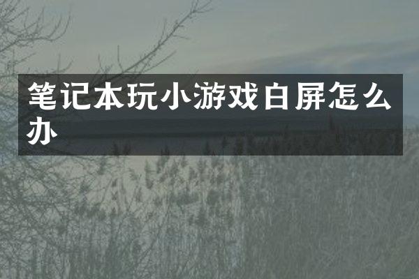 笔记本玩小游戏白屏怎么办