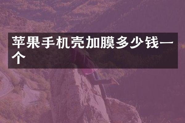 苹果手机壳加膜多少钱一个