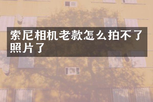 相机老款怎么拍不了照片了
