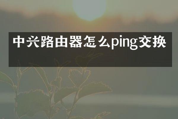 中兴路由器怎么ping交换机