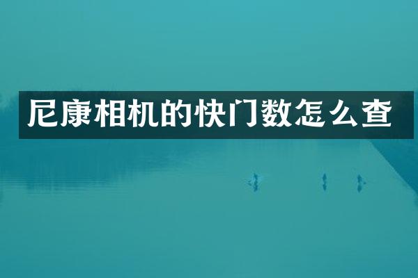 尼康相机的快门数怎么查