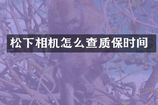 相机怎么查质保时间