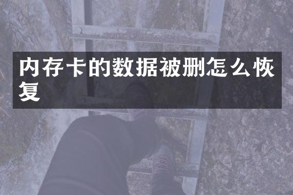 内存卡的数据被删怎么恢复
